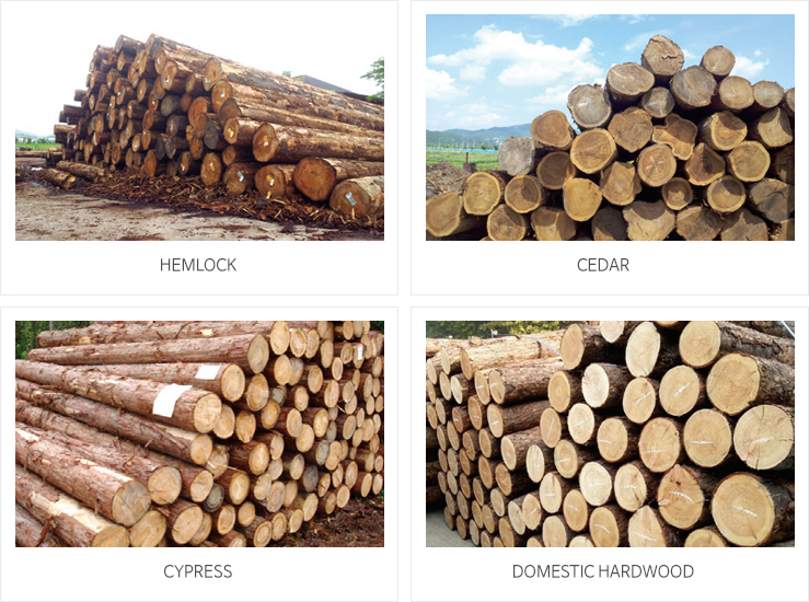Hemlock, Cedar, Cypress, Domestic Hardwood