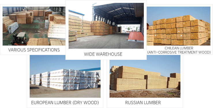 Various Specifications, Wide Warehouse, Chilean Lumber (anti-corrosive treatment wood), European Lumber (dry wood), Russian Lumber