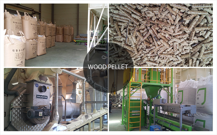 Wood pellet 